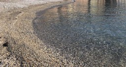 121.jpg - {121.jpg} - [100491]