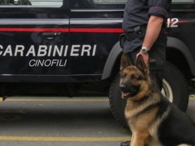 unita-cinofila-carabinieri-1200x900.jpg - {unita-cinofila-carabinieri-1200x900.jpg} - [100635]