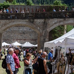 Forte-in-fiore.jpg - {Forte-in-fiore.jpg} - [100811]
