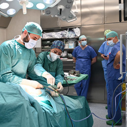 Intervento Robotica + ECMO sala.jpg - {Intervento Robotica + ECMO sala.jpg} - [101291]