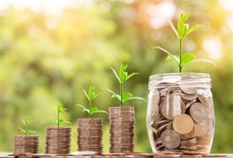 Immagine risparmio.jpg - {Immagine risparmio.jpg} - [10150]