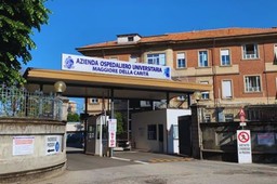 Immagine 0.jpg - {Immagine 0.jpg} - [101692]