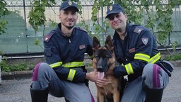 OscarPolizia.jpg - {OscarPolizia.jpg} - [102333]