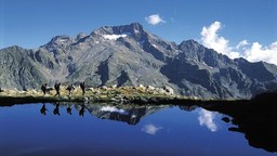 i__id18034_crop1200x600x_mw1200__1x.jpg - {i__id18034_crop1200x600x_mw1200__1x.jpg} - [102549]