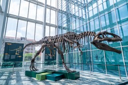 Foto dinosauro in Regione Piemonte.jpg - {Foto dinosauro in Regione Piemonte.jpg} - [104150]