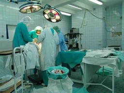 foto trapianto medici sala operatoria.jpg - {foto trapianto medici sala operatoria.jpg} - [10435]