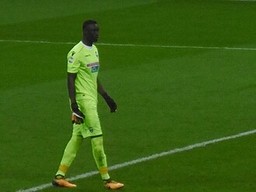 Alfred_Gomis.jpg - {Alfred_Gomis.jpg} - [104567]