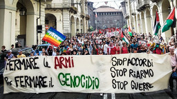 ProPalTorino.jpg - {ProPalTorino.jpg} - [106489]