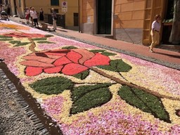 12.jpg - {12.jpg} - [106537]