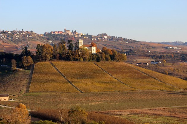 langhe0.jpg - {langhe0.jpg} - [10691]