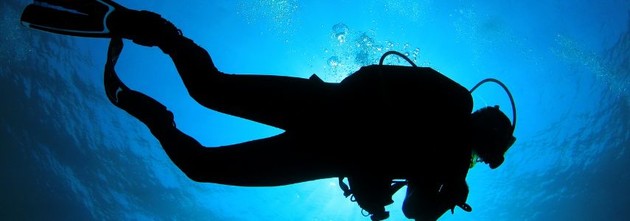 1234.jpg - {1234.jpg} - [107033]