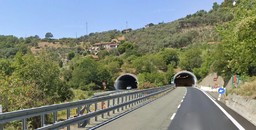 23113.jpg - {23113.jpg} - [108355]
