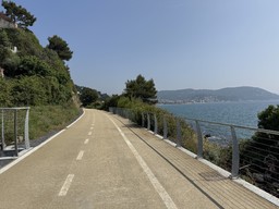 IMG_9560.jpeg - {IMG_9560.jpeg} - [108987]