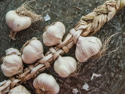 aglio-di-vessalico-resta.jpg - {aglio-di-vessalico-resta.jpg} - [109195]