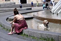 322.jpg - {322.jpg} - [109388]