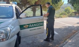 rangers.jpeg - {rangers.jpeg} - [10963]