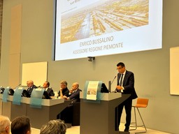 Assessore Bussalino_Alessandria.jpeg - {Assessore Bussalino_Alessandria.jpeg} - [110180]