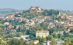 123.jpg - {123.jpg} - [110485]