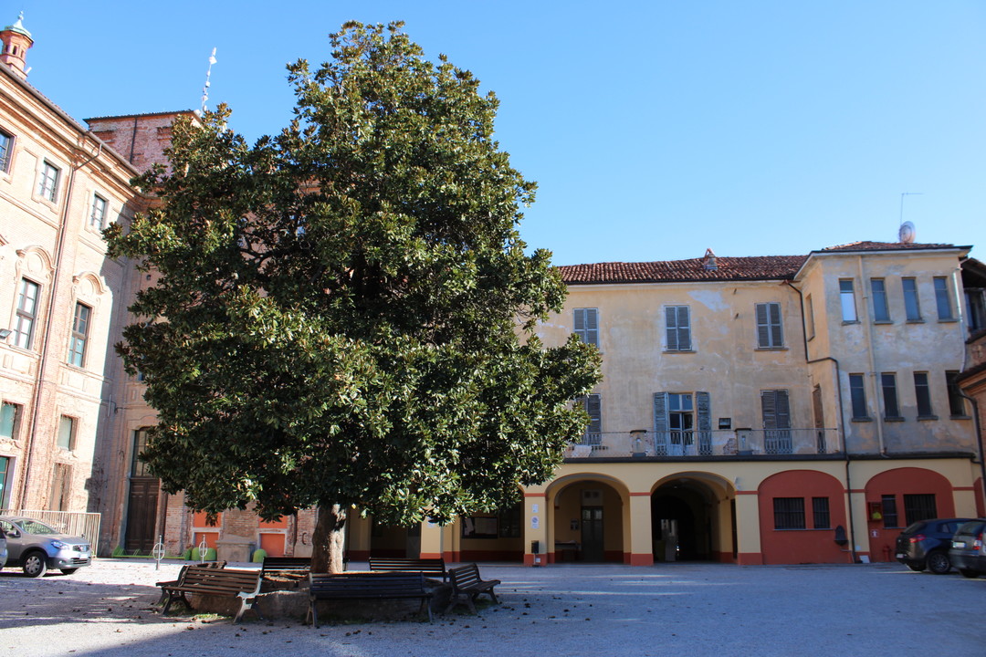 cortile-scuole-maschili-montalcini.jpg - {cortile-scuole-maschili-montalcini.jpg} - [111879]
