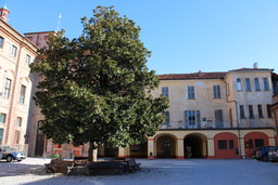 cortile-scuole-maschili-montalcini.jpg - {cortile-scuole-maschili-montalcini.jpg} - [111879]