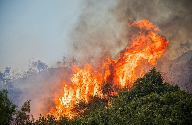 incendi-boschivi.jpg - {incendi-boschivi.jpg} - [112103]