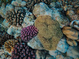 322.jpg - {322.jpg} - [112111]