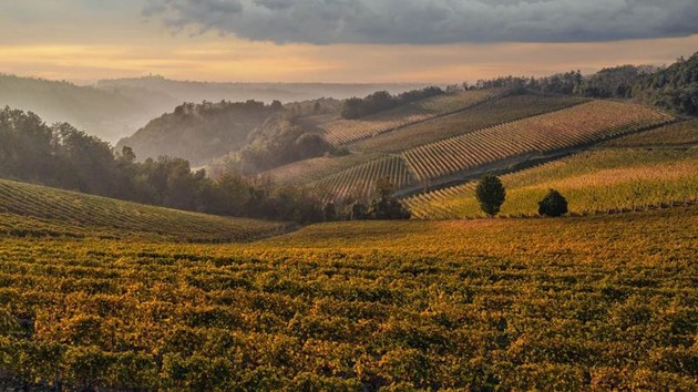GalBassoMonferrato.jpg - {GalBassoMonferrato.jpg} - [112263]