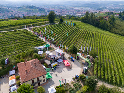 prove-in-vigneto-2024-2048x1536.jpg - {prove-in-vigneto-2024-2048x1536.jpg} - [113361]