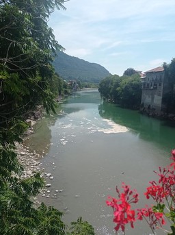1.jpg - {1.jpg} - [115004]