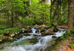 0.jpg - {0.jpg} - [115548]