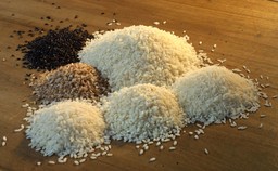 Qualita-di-riso-scaled.jpg - {Qualita-di-riso-scaled.jpg} - [116860]