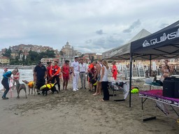 b98e49e0-9187-4f2c-bd30-3ac9a31eb450.jpg - {b98e49e0-9187-4f2c-bd30-3ac9a31eb450.jpg} - [117182]
