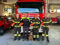 Vigili del Fuoco.jpg - {Vigili del Fuoco.jpg} - [11771]