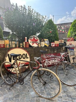 0.jpg - {0.jpg} - [117808]