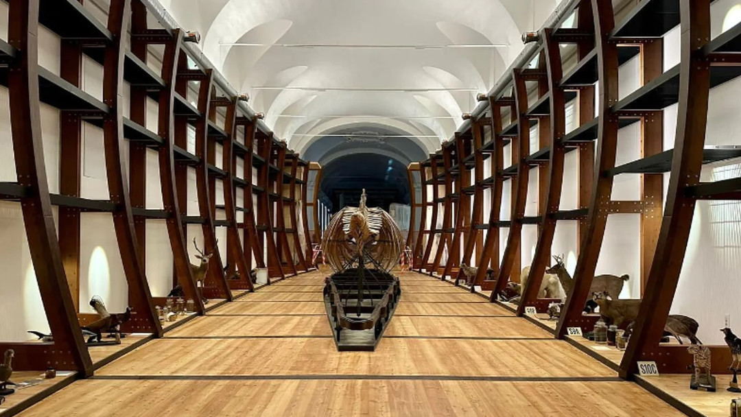 MuseoScenzeNaturali.jpg - {MuseoScenzeNaturali.jpg} - [117912]