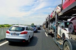 213.jpg - {213.jpg} - [118980]
