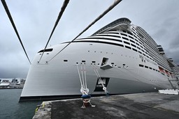 msc.jpg - {msc.jpg} - [119076]