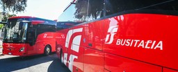BusItaliaFs.jpg - {BusItaliaFs.jpg} - [120151]