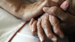 432.jpg - {432.jpg} - [120223]