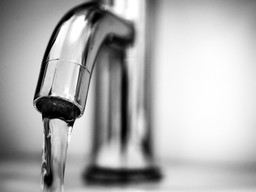 22.jpg - {22.jpg} - [120319]