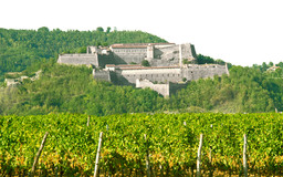 Foto colline  Gavi vino.jpg - {Foto colline  Gavi vino.jpg} - [120431]