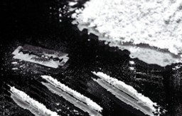 foto droga cocaina.jpg - {foto droga cocaina.jpg} - [120660]