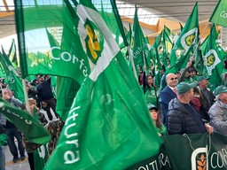 ConfagricolturaBandiere.jpg - {ConfagricolturaBandiere.jpg} - [120675]