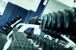 Foto palestra pesi sport.jpg - {Foto palestra pesi sport.jpg} - [121303]
