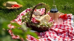 PicNic.jpg - {PicNic.jpg} - [121375]