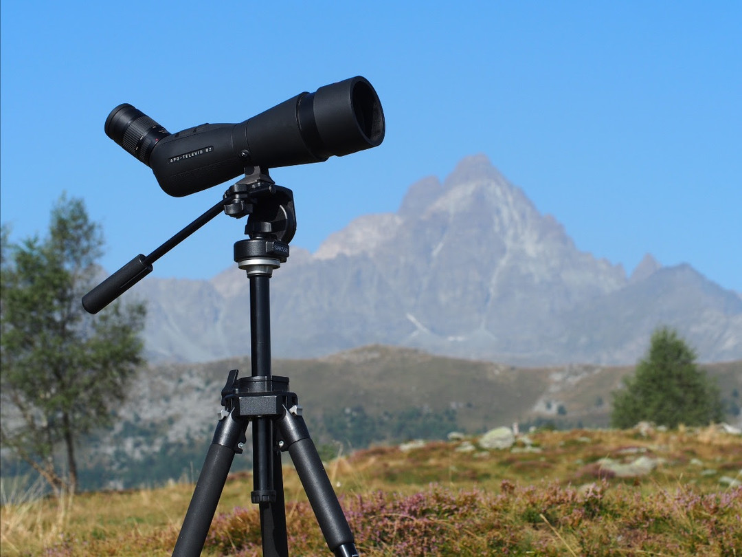 Immagine Parco del Monviso rapaci.jpg - {Immagine Parco del Monviso rapaci.jpg} - [121776]