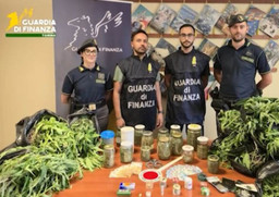 CannabisValDala.jpg - {CannabisValDala.jpg} - [122361]