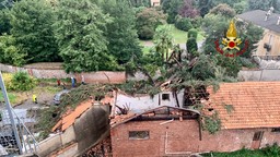 Foto dei danni.jpg - {Foto dei danni.jpg} - [12275]
