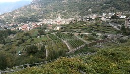 Terrazzamenti>oneMontane.jpg - {Terrazzamenti>oneMontane.jpg} - [122961]