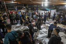 OspedaleGaza2.jpg - {OspedaleGaza2.jpg} - [122993]
